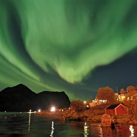 شقة Waterfront Senja Torsken المظهر الخارجي الصورة