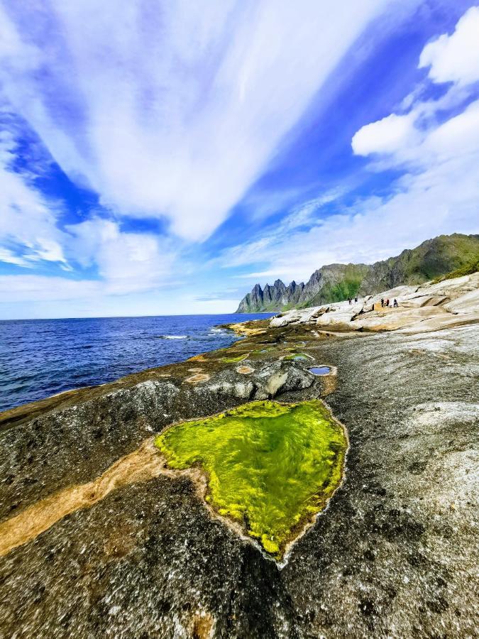 شقة Waterfront Senja Torsken المظهر الخارجي الصورة