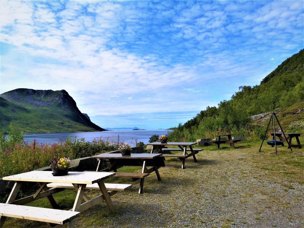 شقة Waterfront Senja Torsken المظهر الخارجي الصورة