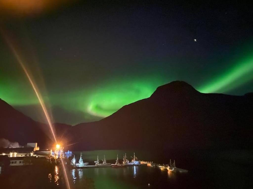 شقة Waterfront Senja Torsken المظهر الخارجي الصورة